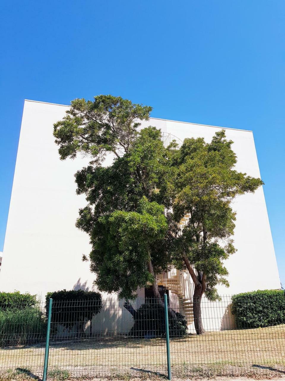 Studio Calme Avec Parking Et Ascenseur -304- カネ エクステリア 写真
